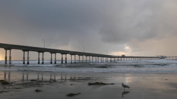Ocean Beach móló esős időben, tengeri hullámok esőben, Kalifornia partjainál, USA. — Stock videók