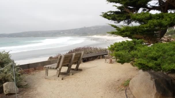 空の木製のベンチ、歩道上の残りの部分。海のビーチ,カリフォルニア海岸,木 — ストック動画