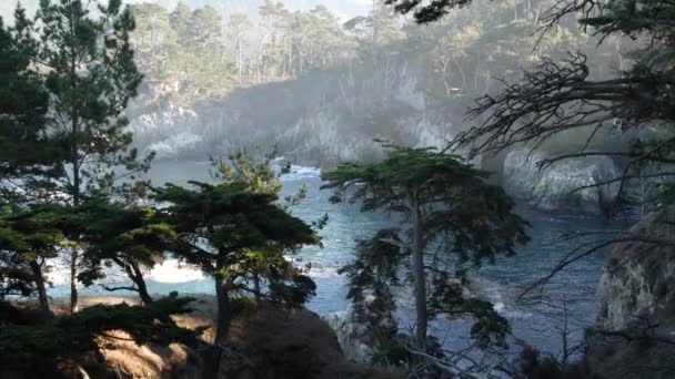 Rotsachtige klif, oceaanstrand, Point Lobos, Californische kust. Golven storten neer. — Stockvideo