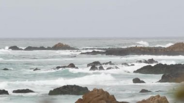 Kayalık okyanus kıyıları, kayalara vuran deniz dalgaları, Monterey California