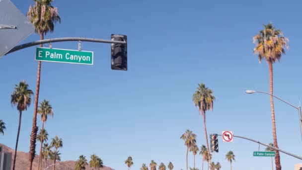 Palmeras en la ciudad cerca de Los Ángeles, señalización vial, semáforo semáforo. — Vídeo de stock