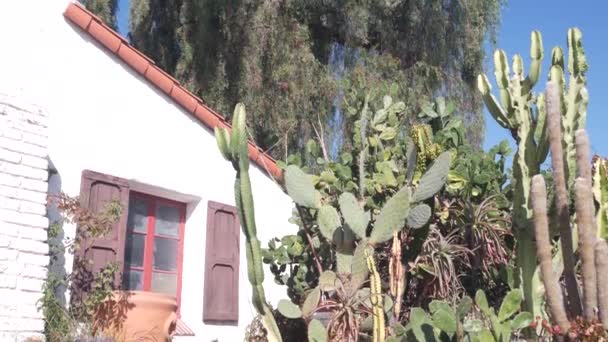 Casa vieja mexicana blanca, ventana y jardín, planta suculenta del cactus, California. — Vídeos de Stock