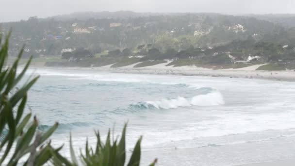 Oceaan zandstrand, Californische kust, zee water golven crashen. mistig weer. — Stockvideo