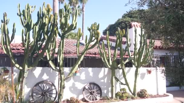 Meksykański ogródek wiejski. Succulent cactus plants, Biała ściana, Kalifornia. — Wideo stockowe