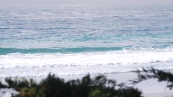 Playa de arena del océano, costa de California, olas de agua de mar rompiendo. Clima brumoso. — Vídeos de Stock