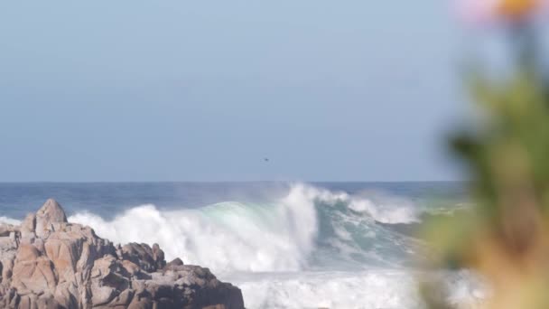 Большие грозовые морские волны, обрушившиеся на скалистый крагги-бич, побережье Калифорнийского океана — стоковое видео