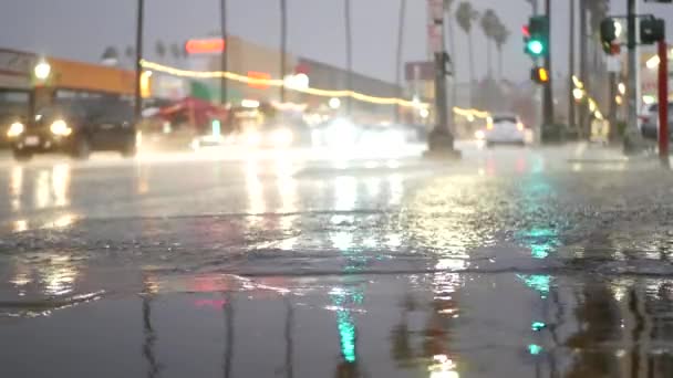 Cahaya refleksi di jalan dalam cuaca hujan. Palm pohon dan curah hujan, California. — Stok Video
