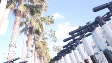 Sokak kaldırımına park edilmiş kiralık elektrikli scooterlar, Los Angeles, California, ABD yakınlarındaki birçok palmiye ağacı. Kiralama ve sürüş için paylaşılan e-scooterlar veya bisiklet, taşımacılık için mikro hareketlilik aracı.