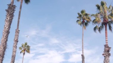 Gökyüzünde uçan uçak, Los Angeles, Kaliforniya 'da tropikal palmiye ağaçları. Uçak ya da uçak havaalanından ayrıldı. Seyahat, turizm ya da yaz tatili konsepti. Palmiye ağaçları ve uçaklar ya da havada jet