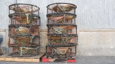 Tuzaklar, ipler ve kafesler rıhtımda, ticari rıhtımda, balıkçılık endüstrisinde, Monterey California USA 'da. Boş tencereler, limanda balık yemi yakalamak için krepler. Birçok balıkçı ağları ve sepetleri limanda. Balıkçılık.