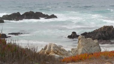 17 mil, Monterey, Kaliforniya ABD. Kayalık okyanus, deniz dalgaları çarpıyor. Pasifik kıyısı karayolu, Point Lobos yakınlarında, Big Sur, Pebble plajı. Kusursuz kıvrımlı sinemagraf canlı duvar kağıdı