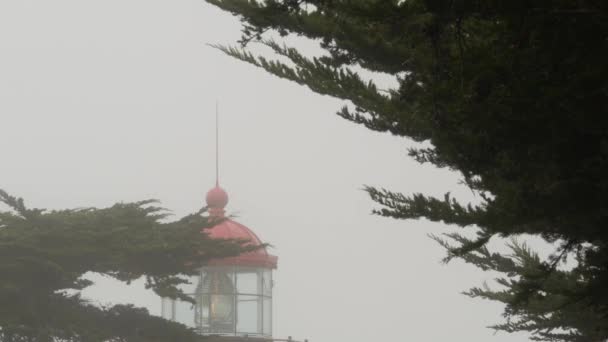 皮诺斯角古老的历史灯塔壁画镜头闪烁着光芒 多雾的雨坏天气 明亮的复古灯塔或灯塔塔 雾蒙蒙的柏树林 美国加利福尼亚蒙特里 — 图库视频影像