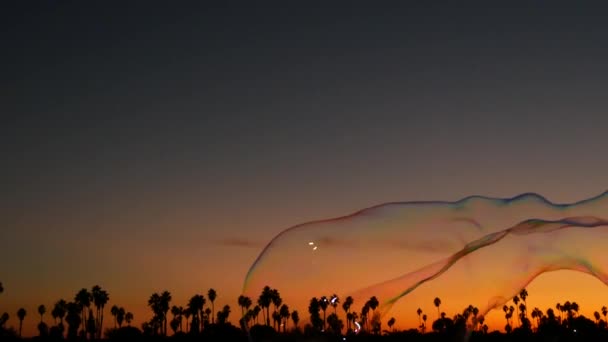 棕榈树的轮廓在日落的海滩上 巨大的肥皂泡沫 加利福尼亚海岸 紫色橙色的天空 任务湾公园 圣地亚哥 热带日落 海风中的肥皂泡 — 图库视频影像