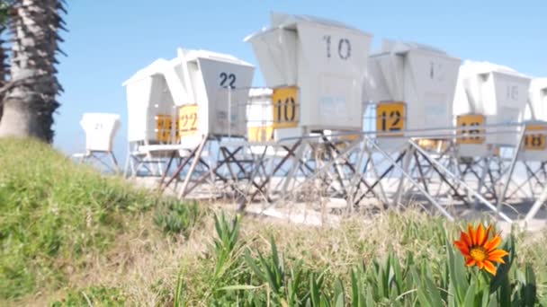 Strandwacht Stand Bloem Strandwacht Toren Surfen Het Strand Van Californië — Stockvideo