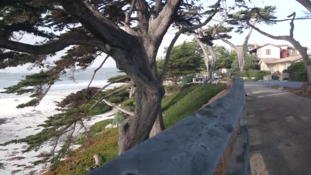 Promenadväg Gångväg Stig Eller Gångväg Havssandstrand Carmel Monterey Kaliforniens Kust — Stockvideo