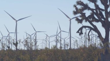 Dönen yel değirmenleri türbini, rüzgar çiftliği veya elektrik santrali, yeşil yenilenebilir enerji jeneratörleri, Kaliforniya 'da endüstriyel alan, Mojave Çölü, ABD. Rüzgâr çiftliğinde elektrik üretimi. Yucca joshua ağacı.