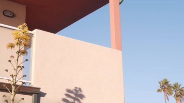 Minimalist mimari, agave sarı çiçek, palmiye ağaçları, pembe ev duvarı, mavi gökyüzü. Kaliforniya estetiği. Dışarıdaki binanın geometrik şekli bu. Moda yaz atmosferi, soyut arkaplan.