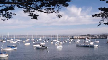 Limanda ya da körfezde yatlar, Monterey marinası Old Fishermans Wharf, rıhtım ya da rıhtım, Kaliforniya kıyısı ABD. Yelkenliler, deniz gemileri, yelkenliler, okyanus suları. Liman kıyısında gezinti güvertesi.