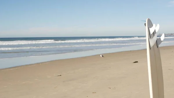 Surfboard for surfing standing on beach sand, California coast, USA. Ocean wave and white surf board or paddleboard. Longboard or sup for watersport by sea water. Summer vacation, sport on shore vibes