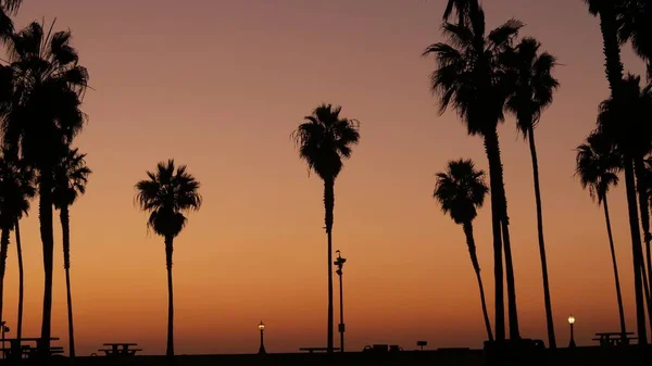 Portakal Rengi Gökyüzü Kaliforniya Sahillerinde Gün Batımında Plajda Palmiye Ağaçlarının — Stok fotoğraf