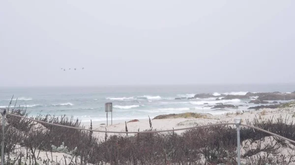 몬테레이 캘리포니아 안개해 안개낀 비오는 구름낀 차가운 해안의 오솔길 분위기 — 스톡 사진