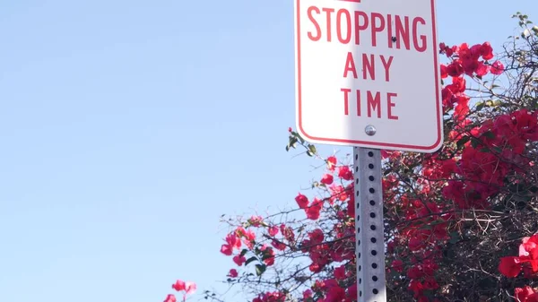 California City Caddesi, ABD 'de yol kenarında zaman tabelasında durmak yok. Bougainvillea bitkisinin kırmızı çiçekleri, kırmızı çiçek ya da çiçek, mavi gökyüzü. Amerika 'da trafik işaretleri yok. Yolculuk
