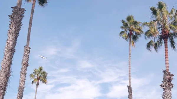 Vliegtuig Vliegen Lucht Tropische Palmbomen Los Angeles Californië Verenigde Staten — Stockfoto