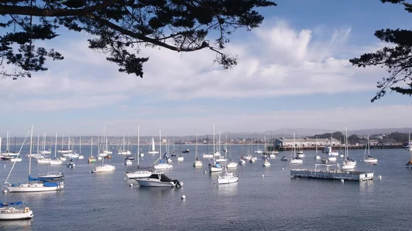 Limanda Körfezde Yatlar Monterey Marinası Old Fishermans Wharf Rıhtım Rıhtım — Stok fotoğraf