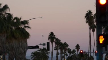 Palmiye ağaçları ve gökyüzü, Palm Springs sokağı, Los Angeles yakınlarındaki şehir, kavşaktaki semafor trafik ışıkları. California yaz gezisi arabayla, Amerika seyahati. Alacakaranlıkta yol işareti, gün batımından sonraki akşam..