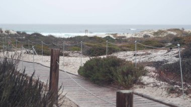 Okyanus kumlu kum tepeleri, Monterey doğası, California sisli kıyıları, ABD. Sisli yağmurlu, sakin sonbahar ya da kış havası, gri bulutlu gökyüzü. Kıyıdaki patika, soğuk deniz dalgalarının yanında. Tahta tahtalardan tahta kaldırım