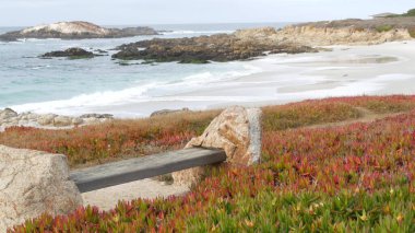 Rocky pasifik okyanus kıyıları, kayalara düşen deniz dalgaları, 17 mil sürüş, Monterey, California USA. Point Lobos, Big Sur, Pebble plajı yakınlarındaki kasvetli doğa. Tahta boş bank dinlenmek için patikada