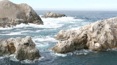 Big Sur yakınlarındaki kayalık, dramatik okyanus plajı, 17 mil yol. Büyük mavi dalgalar kayalıklara çarpıyor, su sıçrıyor, deniz köpüğü. Point Lobos, Monterey, California sahili, ABD. Kusursuz döngülü görüntü grafiği.