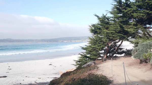 Promenade Pad Loopbrug Pad Voetpad Oceaan Zandstrand Carmel Monterey Californië — Stockfoto