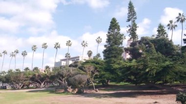 Şehir parkındaki palmiye ağaçları, La Jolla 'daki Rocky Point, San Diego, California sahilleri, ABD. Rıhtım ya da palmiye ağaçlarıyla dolu bir sahil yolu. Tahta kaldırımlı, tropik yaz yeşilliği. Mavi gökyüzü ve bulutlar