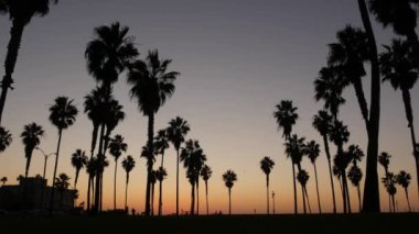 Turuncu ve mor gökyüzü, Kaliforniya sahillerinde, gün batımında, plajda palmiye ağaçlarının siluetleri. San Diego 'daki sahil parkı, Mission plaj tatil beldesi. İnsanlar akşam karanlığında yürüyorlar.