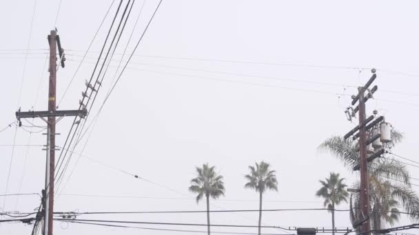 Palmy Mlze Americké Městské Ulici Mlhavé Zamlžené Oblačné Počasí Kalifornii — Stock video