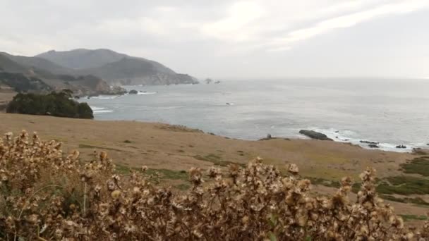 碧克斯比小溪桥 多岩的大海 悬崖或陡峭的悬崖 雾蒙蒙的天气 海滩上的海浪 加州风景 大南自然 太平洋海岸1号公路 Cabrillo风景路 — 图库视频影像