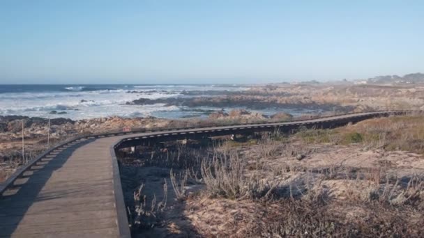 Ocean Beach Piaszczyste Wydmy Monterey Natura California Coast Flora Usa — Wideo stockowe