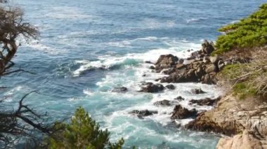 Kayalık okyanus kıyıları ve selvi koruluğu, mavi su dalgaları ve kozalaklı çam ağacı ormanı, manzara 17 mil sürüş Point Lobos, Big Sur ve Pebble Beach, California USA yakınlarındaki Monterey doğası. Deniz Burnu