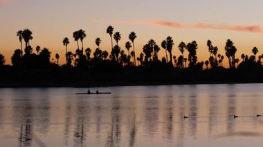 Günbatımı okyanus sahilindeki palmiye ağaçları siluetleri, Kaliforniya kıyıları, ABD. San Diego Mission Bay Park 'ın sakin sularında mor turuncu gökyüzünün yansıması. İnsanlar kano yapıyor, kürek çekiyor, kürek çekiyor ya da kano kullanıyor..