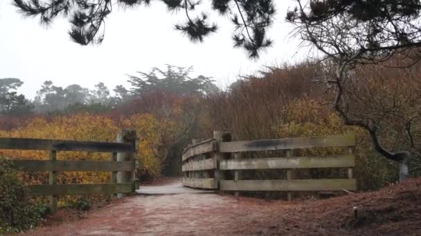 Holzbrücke Fußweg Promenade Zum Wandern Wandern Wald Fußweg Oder Fußweg — Stockvideo