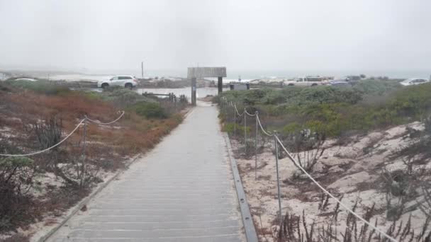 Ocean Beach Sandy Dunes Monterey Nature California Misty Coast Eua — Vídeo de Stock