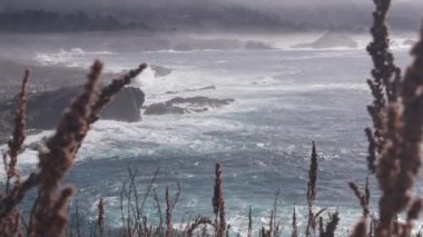 Rocky sarkık okyanus plajı, Point Lobos manzarası, California sahili, ABD. Büyük deniz dalgaları kayalıklara çarpıyor. Monterey doğası Big Sur yakınlarında, 17 mil yol. Deniz manzarası ve dağlar, sisli hava