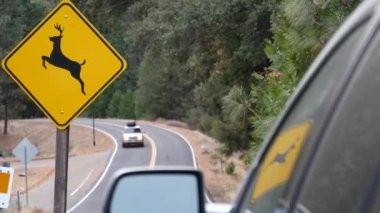 Geyik uyarı sarı işareti, California USA. Vahşi hayvanlar trafik işaretlerini aşarak yolda güvenli sürüş yapıyorlar. Yosemite Ulusal Park Ormanı 'ndaki arabalardan vahşi yaşam koruma alanı. Yolculuk konsepti