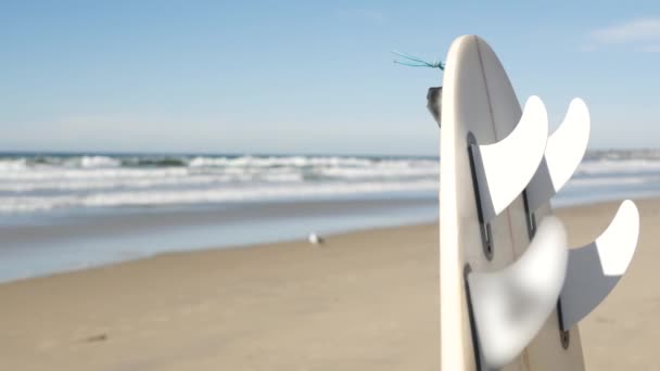 冲浪冲浪站在海滩沙滩上 加利福尼亚海岸 海浪和白浪冲浪板或冲浪板 水上水上运动用的长板或水槽 岸上的体育活动 — 图库视频影像
