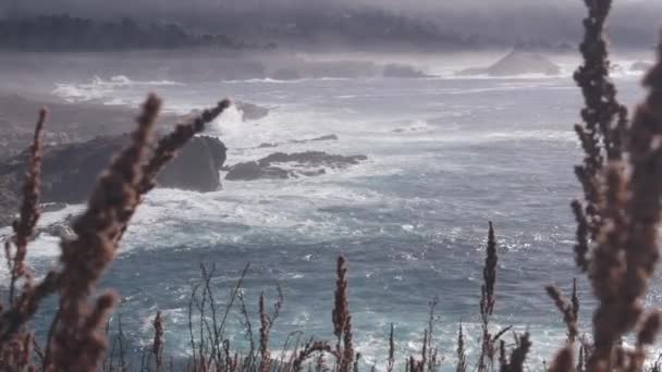 ロッキー険しい海のビーチ ポイント ロボスの風景 カリフォルニア州海岸 崖の上に大きな海の水の波がクラッシュ 17マイルのドライブ ビッグサーの近くのモントレーの自然 海と山霧の中の天気 — ストック動画