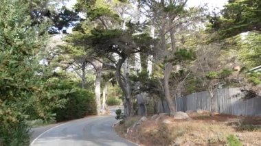 17 millik manzaralı yol, Monterey yarımadası, Kaliforniya, ABD. Selvi ağacı ormanları, kozalaklı çam ağaçları, koruluklar ve ormanlar arasında yol gezisi. Pasifik kıyısı otoyolu Big Sur yakınlarında turizm rotası