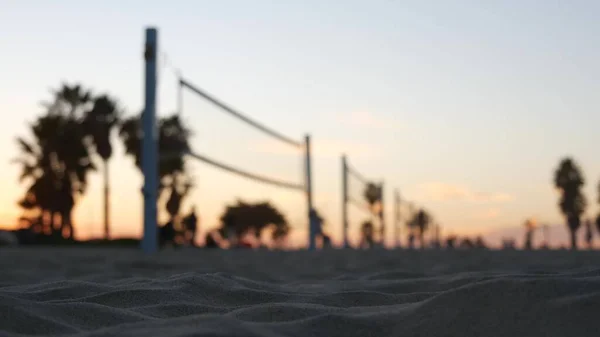 Players playing volleyball on beach court, volley ball game with ball and net, sunset palm trees silhouette, California coast, USA. Defocused people on sandy ocean shore. Seamless looped cinemagraph.