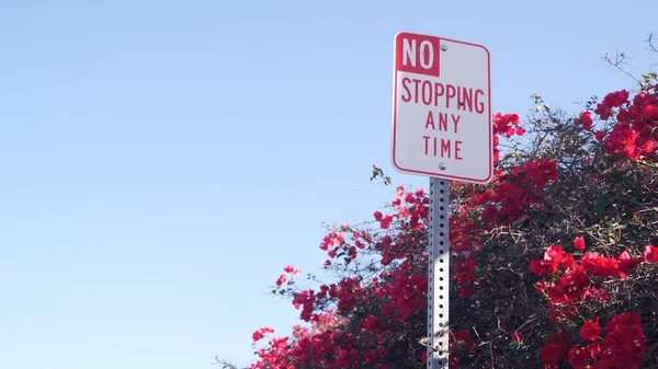 Žádná Zastávka Silnice California City Street Usa Červené Květy Rostliny — Stock fotografie