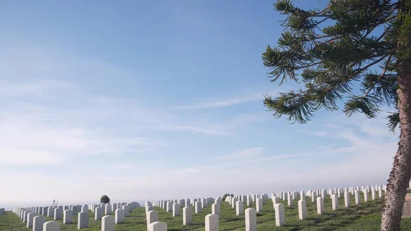 アメリカ軍記念墓地 アメリカの墓地の墓 墓石や墓石や緑の芝生 武装勢力の兵士の尊重と名誉 退役軍人と追悼の日 — ストック写真
